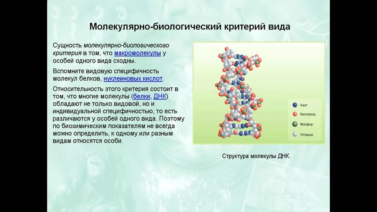Биологическая макромолекула. Биологическая макромолекула. Макромолекула это в химии. Макромолекула картинка. Макромолекула картинка.
