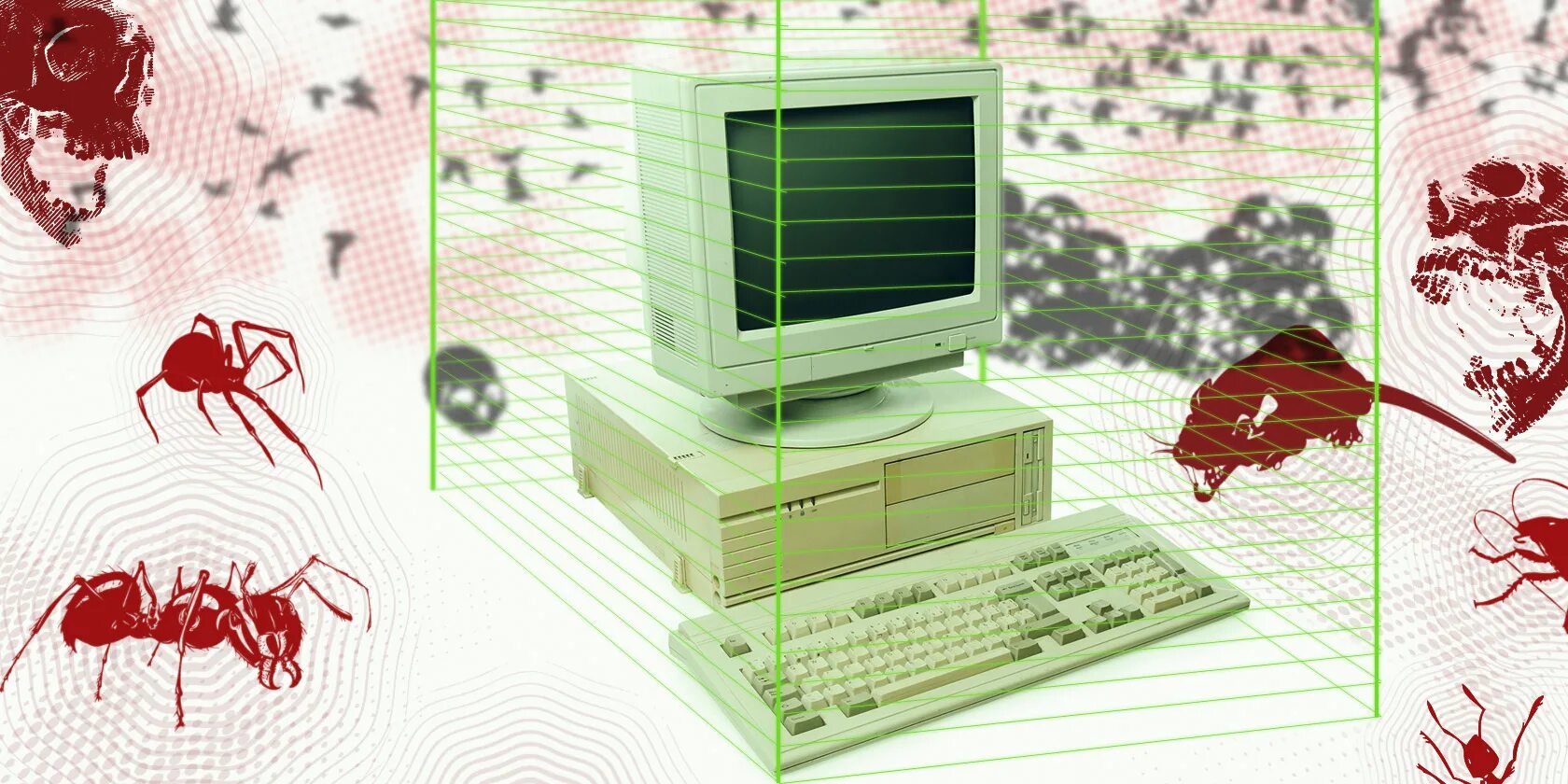 First computer virus