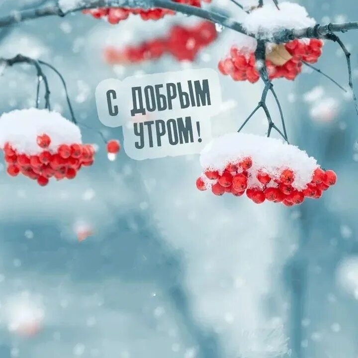 Доброе утро февраль хорошего дня и настроения. Доброе Снежное утро. Зимнее утро. С добрым снежным утром. Зимние пожелания.