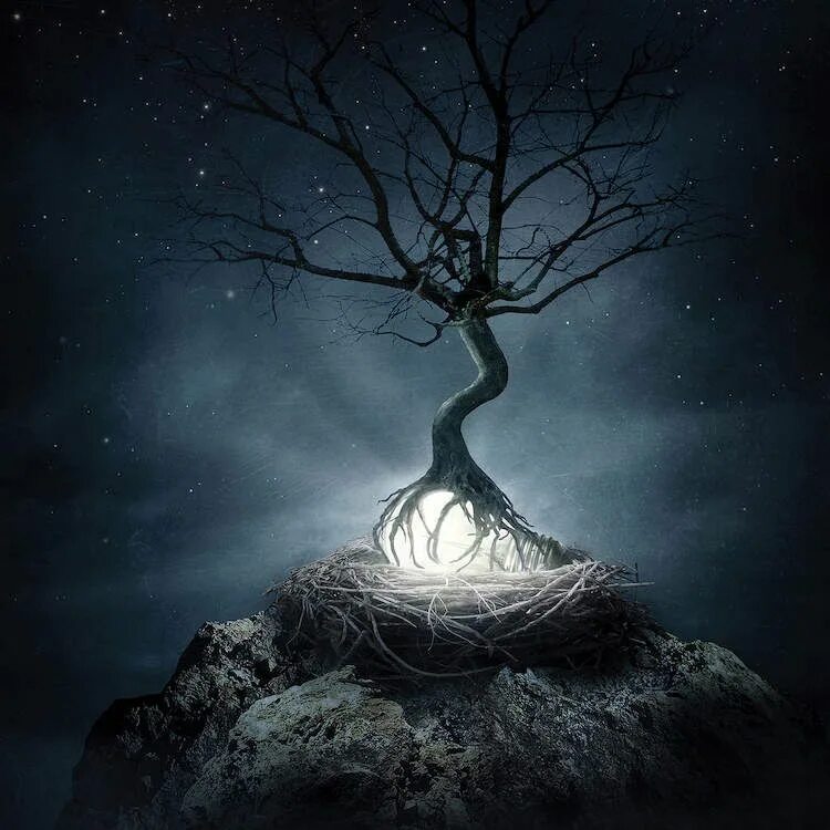 Загадочное дерево. Мистическое дерево. Магическое дерево. Мрачное дерево.