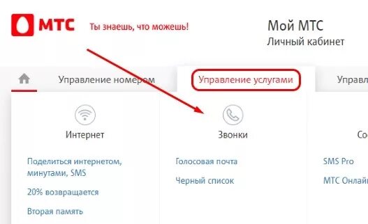 МТС личный кабинет. Детализация МТС личный кабинет. Мой МТС личный кабинет. Смс в личном кабинете МТС. Звонят из мтс заканчивается договор