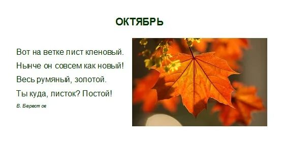 Стих про осень 4 строчки. Небольшой стих про осень. Стих 4 строчки. Стихотворение листья осенние. Стихотворение в котором есть строчки