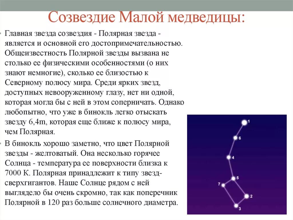 Открытее созвездий. Малая Медведица Созвездие. Малая медведь Созвездие. Созвездиеvfkjq медведицы. Сообщение о созвездии малая Медведица.