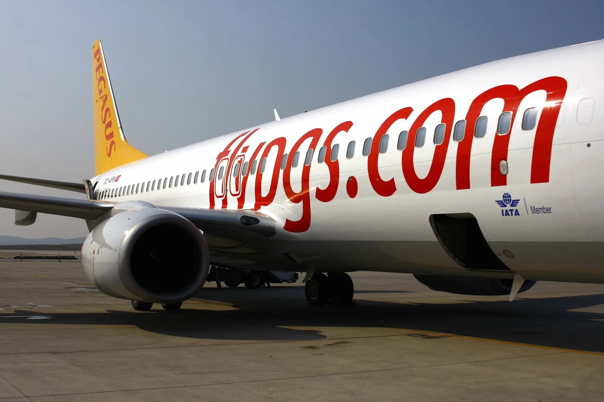 Пегасус турция авиакомпания. Pegasus airlines сайт. Airbus a320neo pegasus airlines. Пегасус эйрлайнс самолеты. Пегасус турецкие авиалинии.