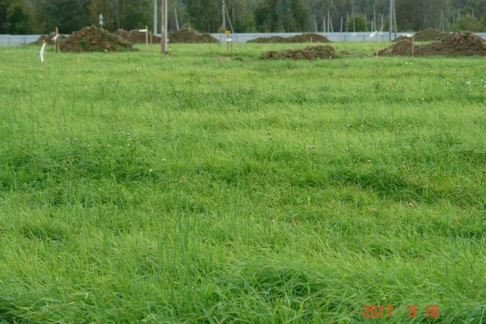 Земельный участок фотографии. Земельный участок под строительство. Земля для застройки. Участок ижс. Снт лабиринт нурлино.