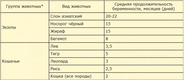 Беременность разных видов животных. Продолжительность беременности у животных. период беременности у животных таблица. продолжительность беременности у животных таблица. длительность беременности у разных животных таблица.