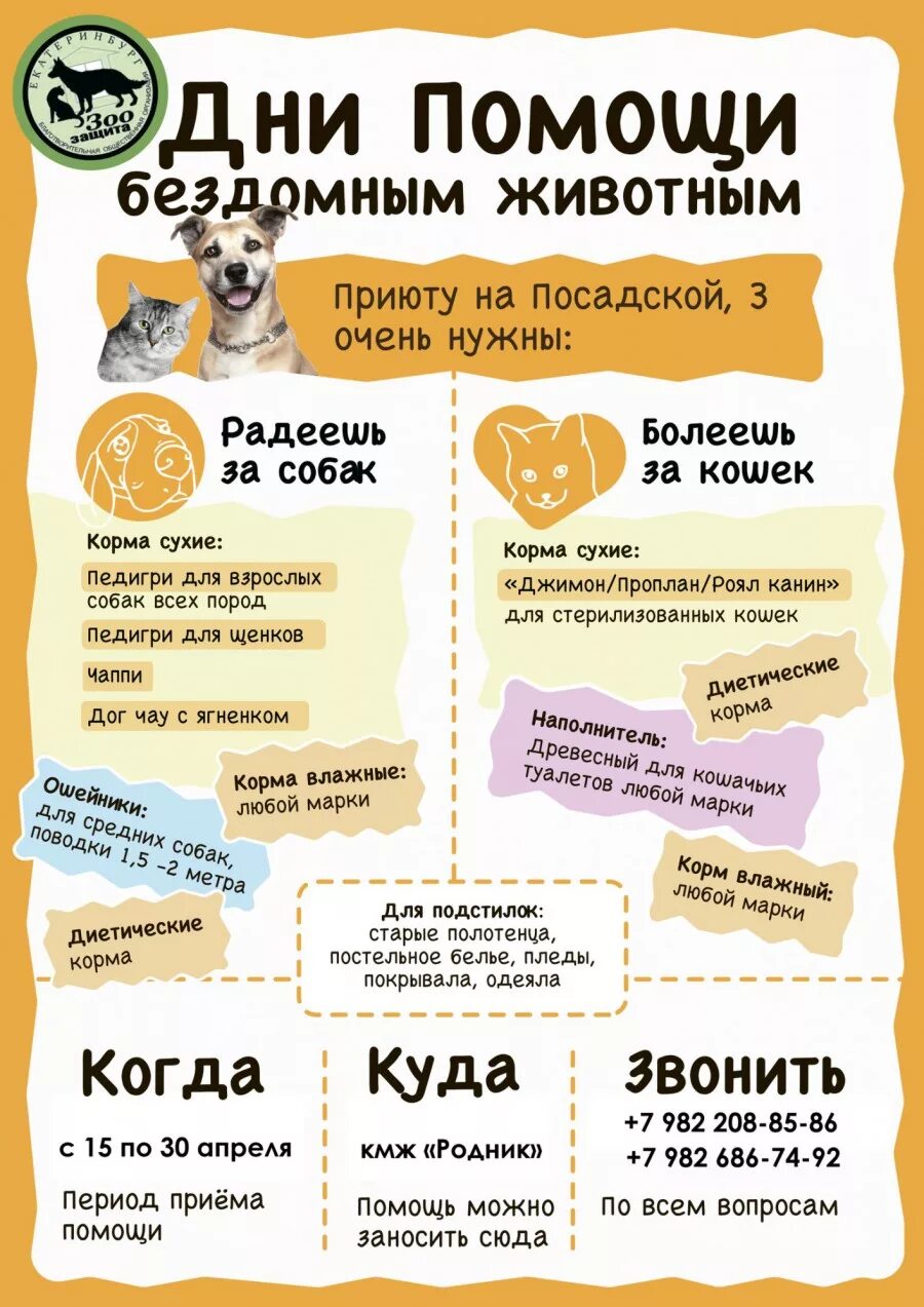 Благотворительность нищим. Корзина милосердия благотворительная акция. Раздача еды бездомным. Всемирный день бездомных людей. Помощь бездомным людям смоленска.