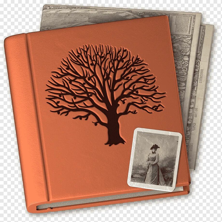 Дающее дерево книга. Дерево с книгами. Книга из дерева. Обложка книги с деревом. Обложка книги с фотографиями родословной.