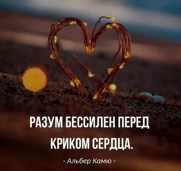 Разум и сердце цитаты. Фразы про разум. Всё пройдёт сказал разум все раны исчезнут. Разум и сердце цитаты. Разум говорит.