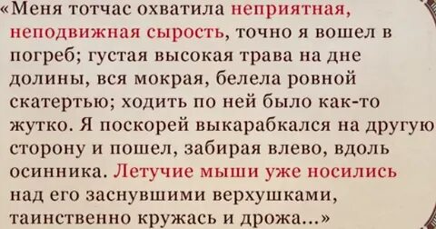 Сырость предложения