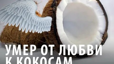 Сколько человек в год умирает от кокоса
