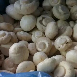 Можно шампиньоны замораживать целыми