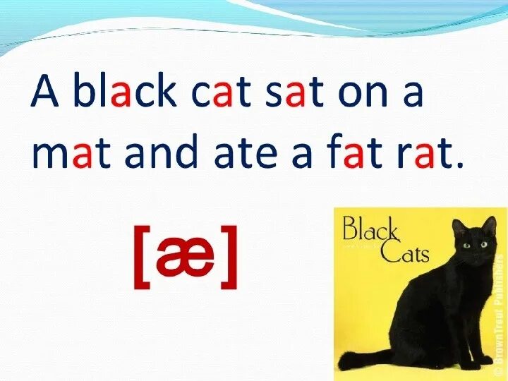 A Black Cat sat on a mat and ate a fat rat. Скороговорка a Black Cat sat on a mat and ate a fat rat. A Black Cat sat on a mat. Английская кошка. 1 this is a cat