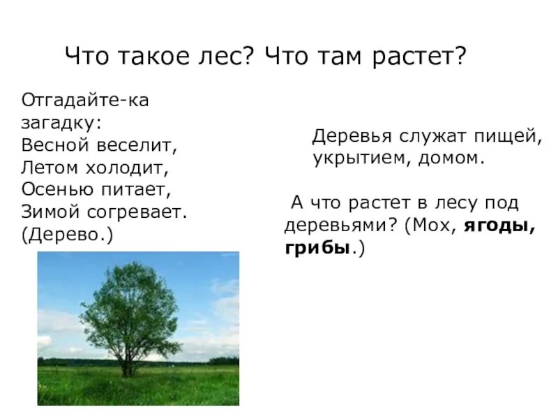 Загадка весной веселит. Весной веселит летом холодит загадка. Загадка весной веселит летом холодит осенью питает зимой согревает. Загадка весной веселит летом холодит осенью.