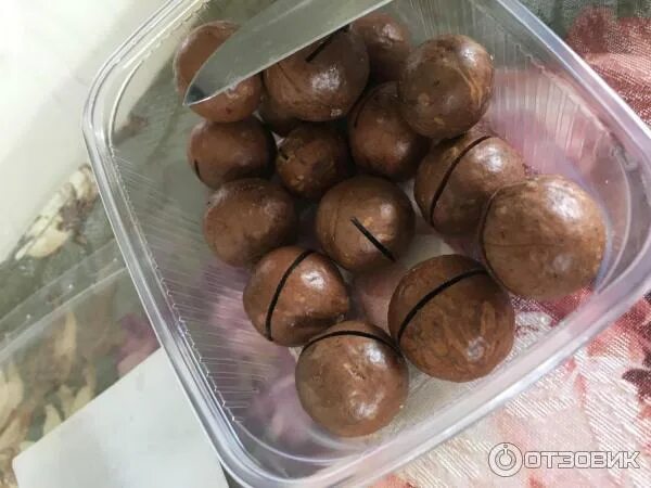 Настоящий вкус макадамии. Самый дорогой орех в мире макадамия. Настоящий вкус макадамии. Мохилхин. Макадамия орех родина.