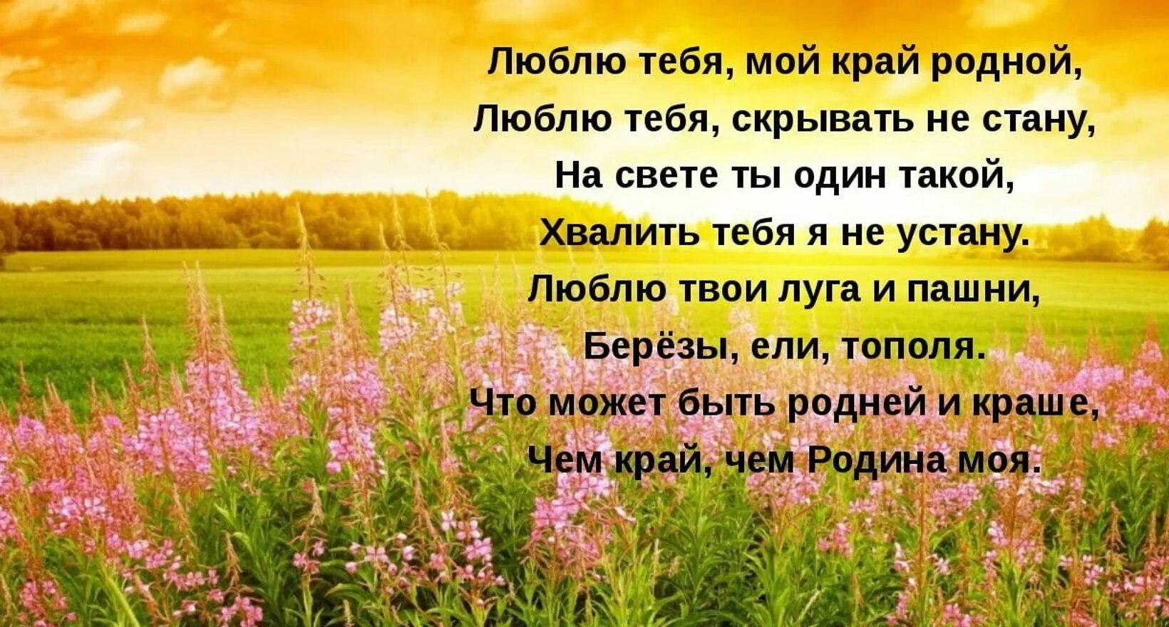 Всем сердцем любимая родина. Стихи о родном крае. Фразы про родной край. Стишок про родной край. Мой край родной стихи.