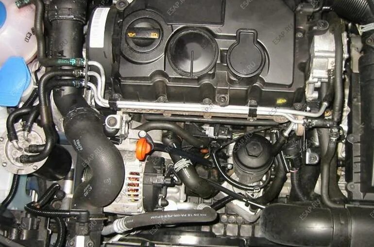 Двигатель дизель б6. VW 2.0 TDI. TDI 2.0 двигатель. Двигатель BLS 1.9 TDI. VW 2.0TDI 103kw bmp.