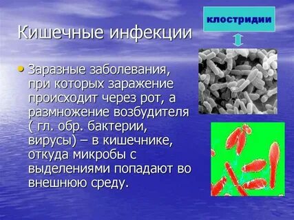 Вирусы возбудители кишечных инфекций