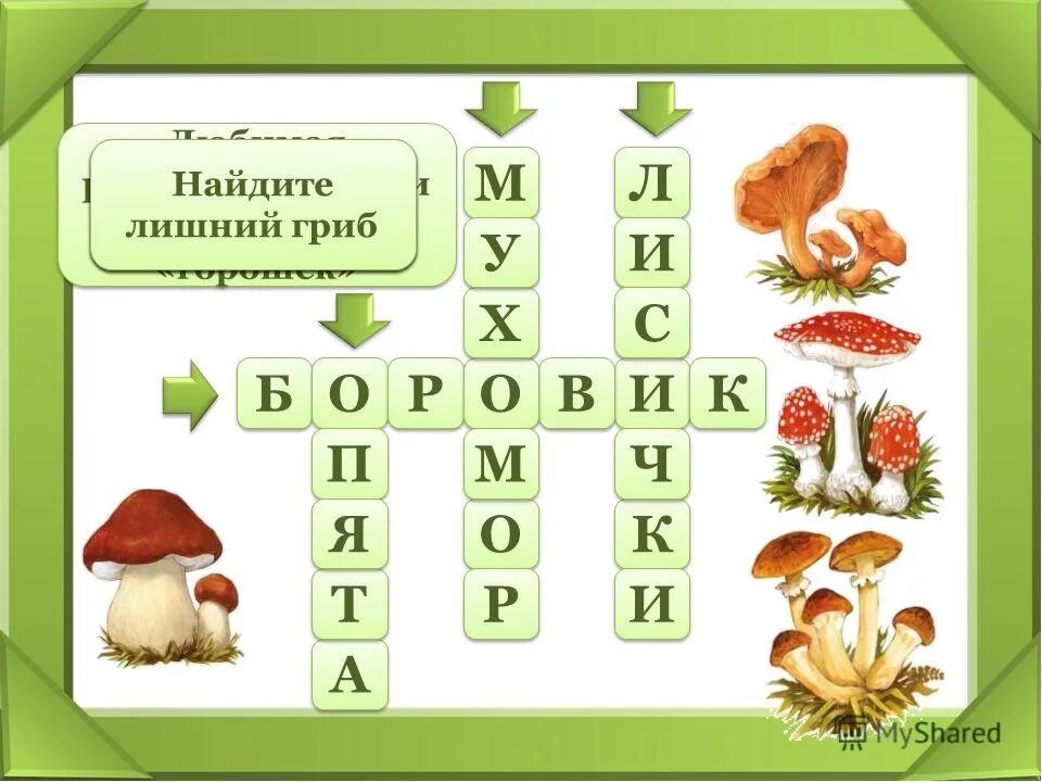 Кроссворд на слово гриб. Кроссворд про грибы. Грибы кроссворд начальная школа. Кроссворд на тему грибы. Кроссворд про грибы для детей.