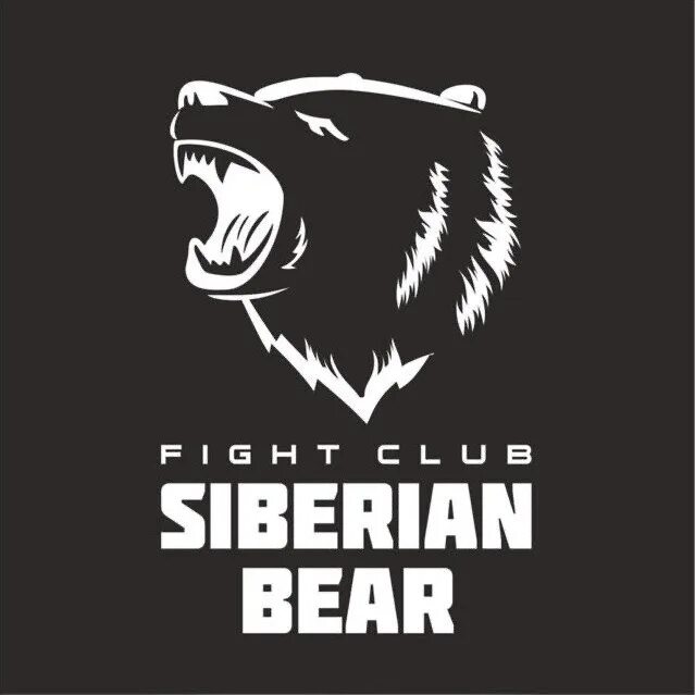 Полярный медведь лого. Клуб медведь. Фитнес клуб медведь сочи. Old bear логотип. Клуб бокса медведь.
