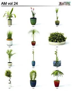 24 plants