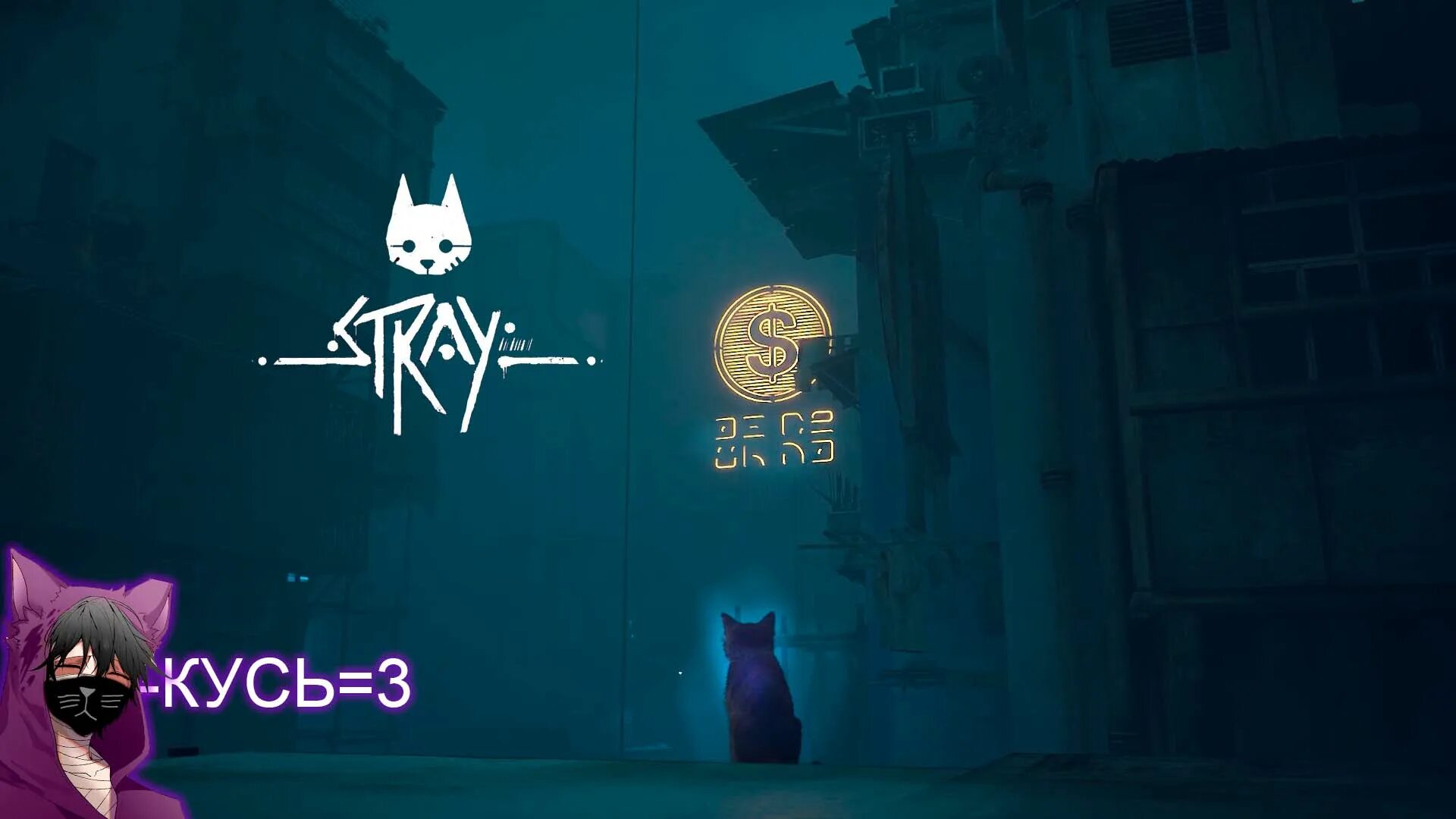 Игра котики прохождение. Кот из игры Stray. Stray игра про кота. Кот по игре Stray тень кота. СТРЕЙ игра про кота роботы.