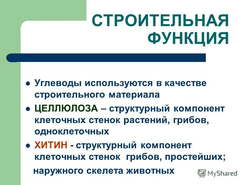 Перечислите функции белков в организме человека. Определение строительной функции белков. Функции белков в клетке. Характеристика строительной функции белка. Функции белков строительная каталитическая.
