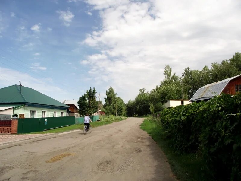 Погода селе смоленском алтайский край. Село Смоленское Алтайский край. Старотырышкино Алтайский. Село Старотырышкино Алтайский край. Старотырышкино Смоленский.