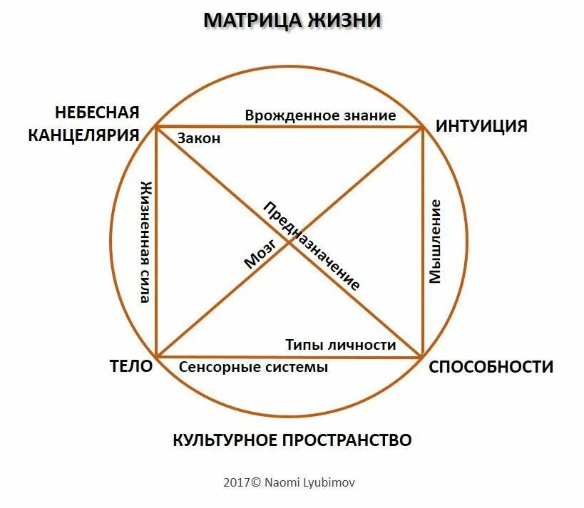 Круг характеристика человека. Матрица жизни. Что такое матрица в жизни простыми словами человека. Матрица это простыми словами. Что такое матрица в жизни простыми словами.