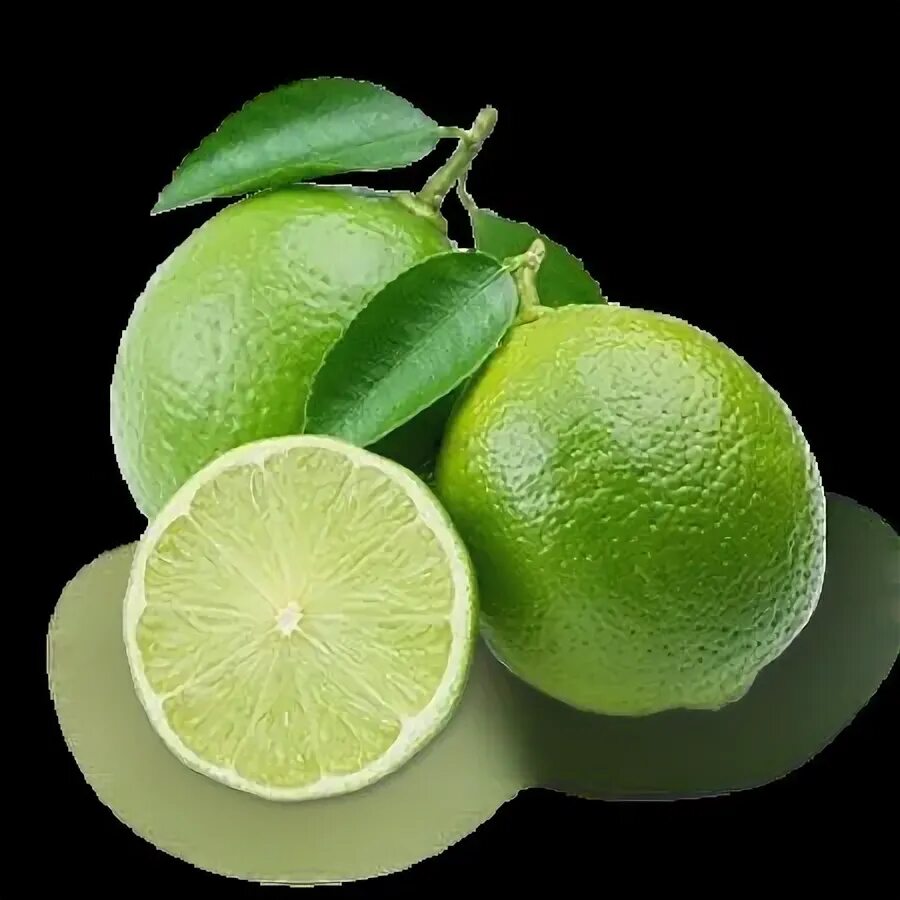 Лайм. Лайм европейский. Seedless lime. Лама в одежде. Lime витрина.