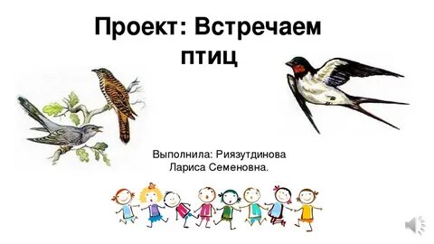 Презентация птицы детский сад