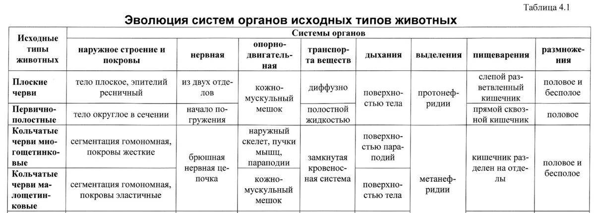 Типы плоских червей таблица 7 класс биология. Система органов плоских червей таблица 7 класс. Пищеварительная система плоских червей 7 класс таблица. Таблица по биологии 7 класс черви плоские круглые кольчатые.