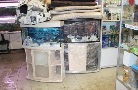 Зоомир для аквариума