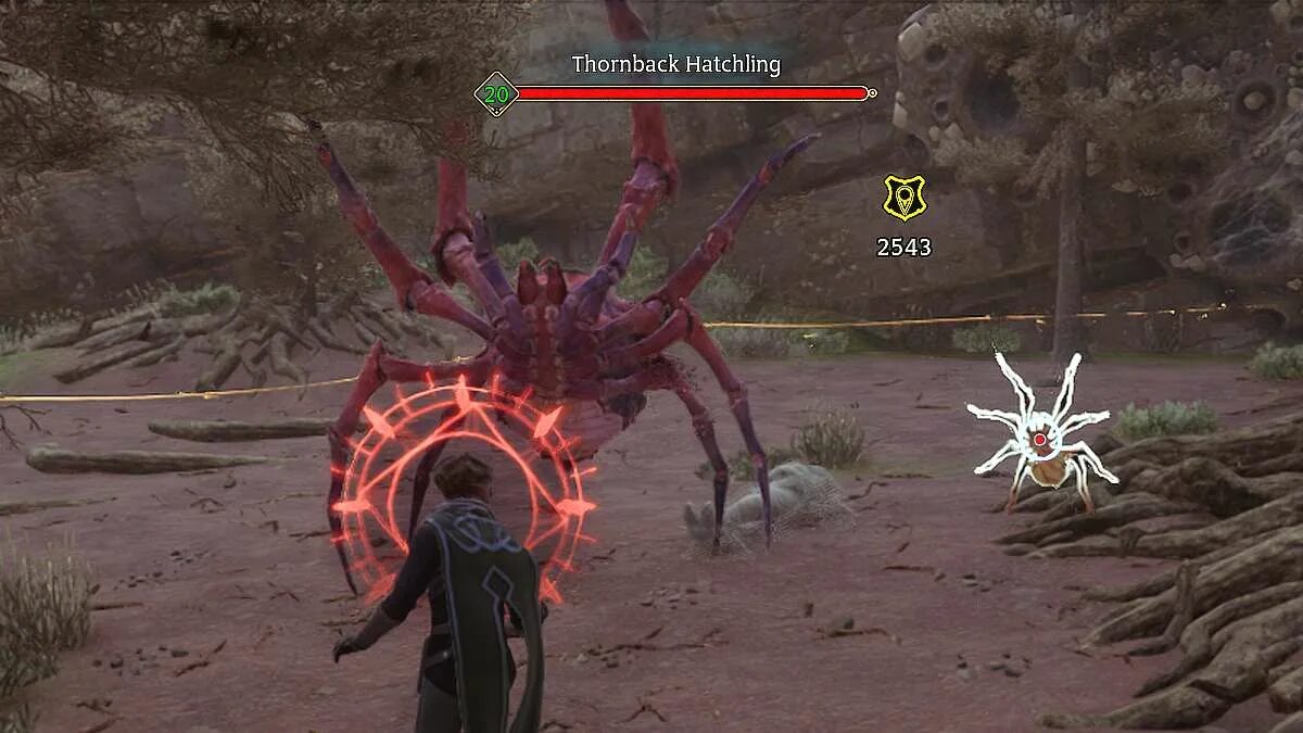 3 паук хантер. Игра про гигантских насекомых. Dark messiah пауки. Секретка в spiderheck игра. Дуэль пауков.