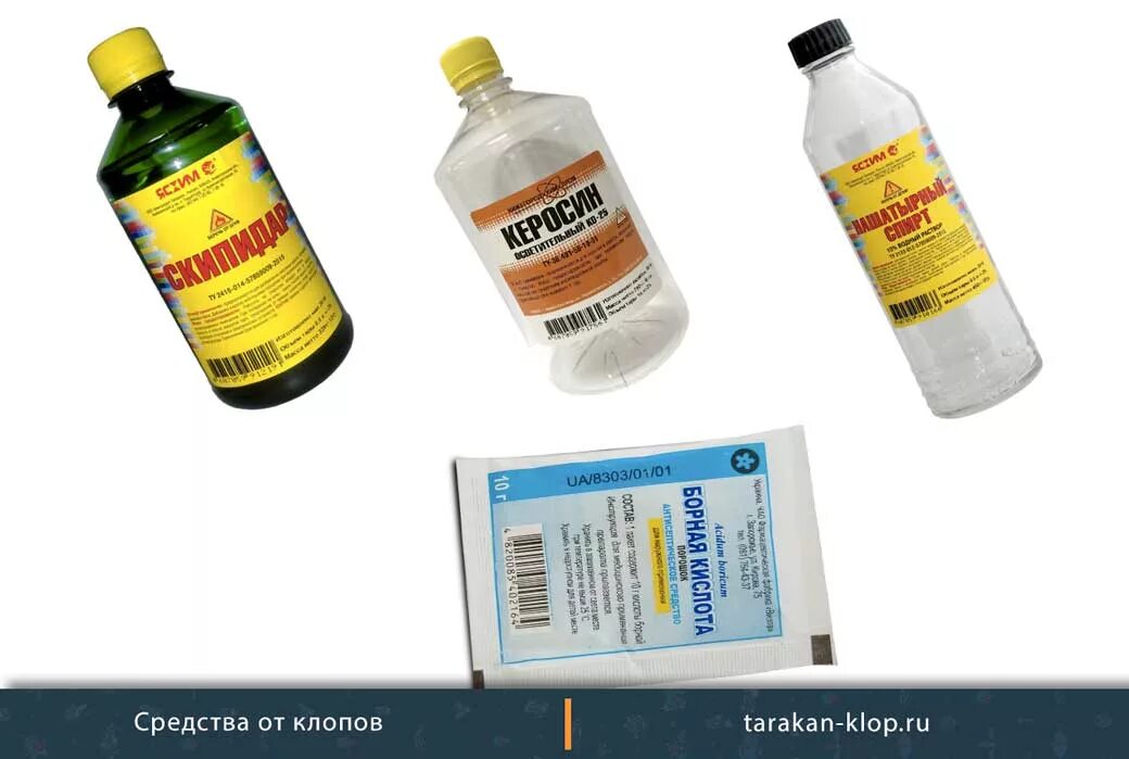 Как сделать отраву из борной кислоты. Отрава для клопов. Нашатырь от тараканов. Яд борная кислота для клопов. Отрава от тараканов с борной кислотой.