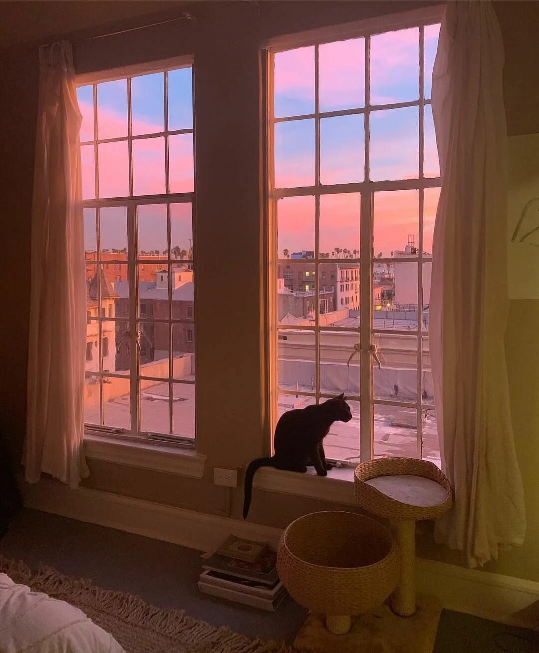 He the window in the room