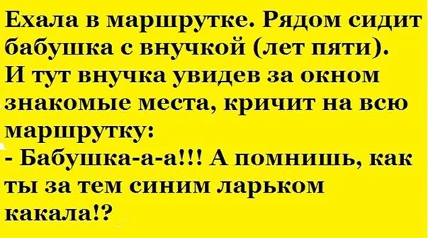 Совсем недавно я ехала в автобусе рядом