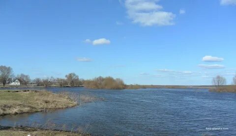 Село березово курганская область