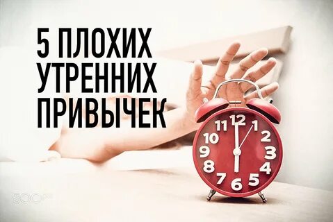 Утро 5 дня