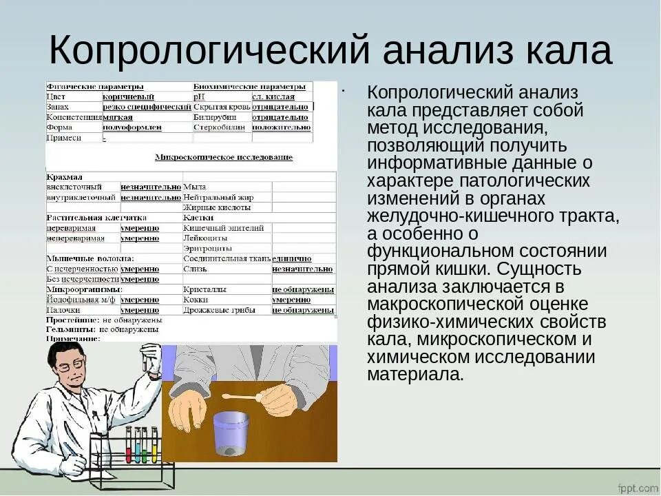 Копрологическое исследование кала. Копрологическое исследование кала у детей. Показания копрологического исследования кала. Кал на копрологическое обследование подготовка.