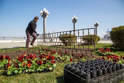 Зеленстрой анапа