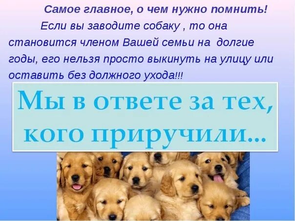 Проект 4 класс готовые работы про животных Как сделать презентацию "Красная книга России" 2-4 класс окружающий мир