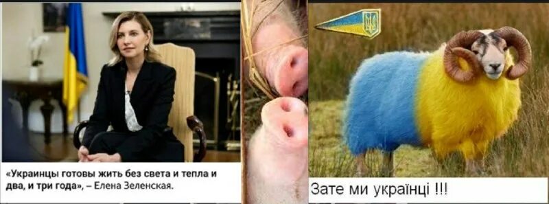 футболка москаляку на гиляку. рагуляку на гиляку телеграмм. москаляку на гілляку. фишки нет война на украине. 2014 москаляку на гиляку.