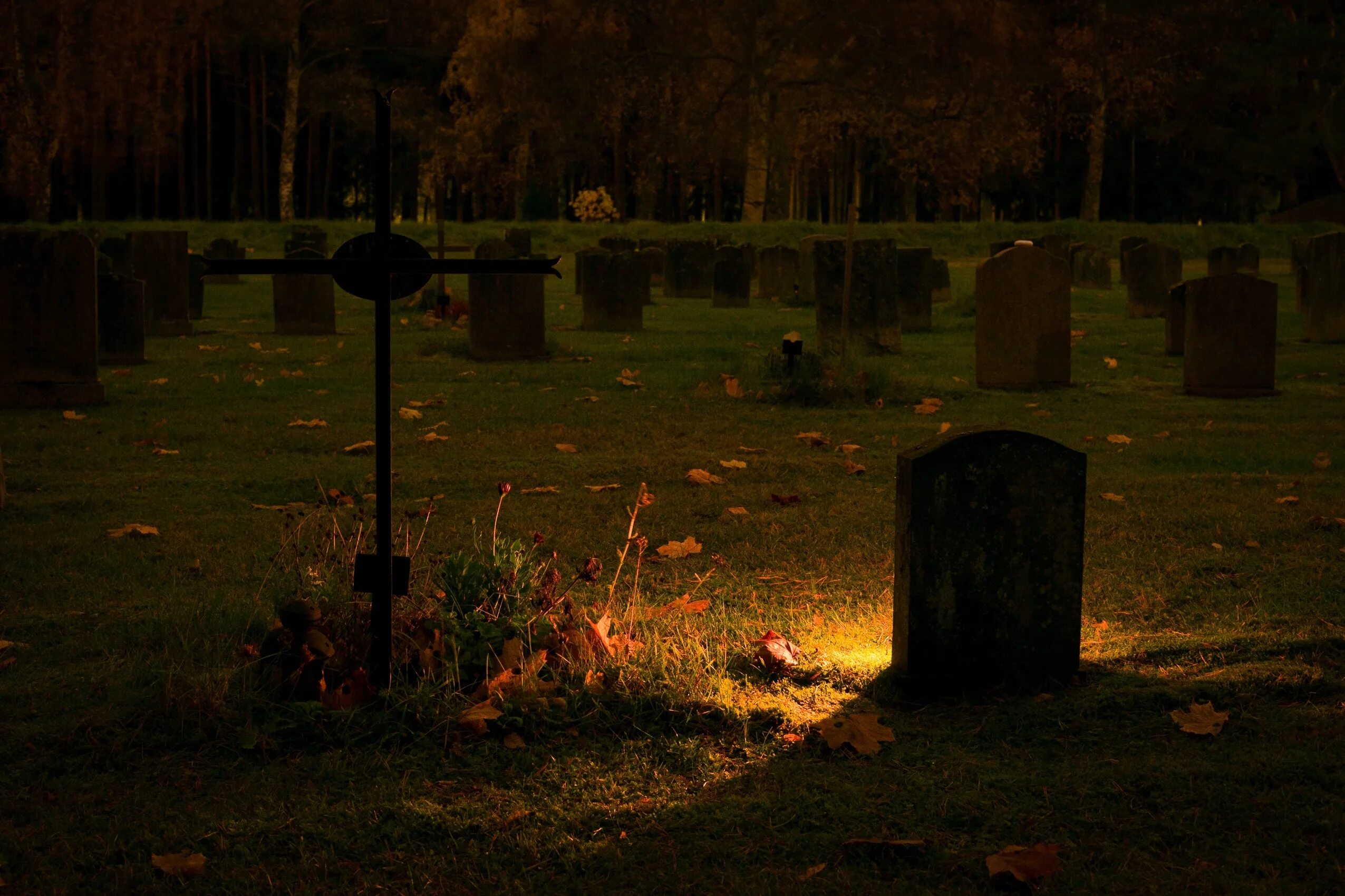 Видеть себя на кладбище. Ночное кладбище. Кладбище ночью. Красивое кладбище. Мрачное кладбище.
