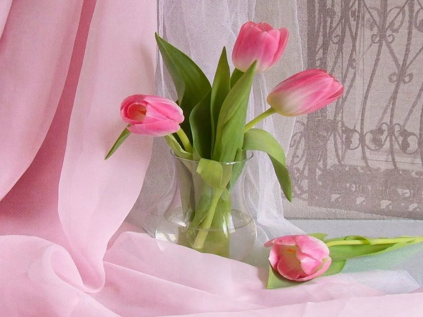 Доброе весеннее утро с тюльпанами. Нежные тюльпаны в вазе. Розовые тюльпаны в вазе. Тюльпаны открытка. Нежные открытки с тюльпанами.