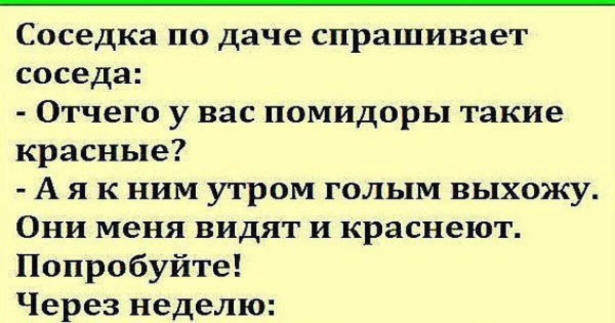 Сосед пришел к соседке видео. Соседка на даче спрашивает соседа. С днем рождения сосед по даче. Соседка по даче спрашивает соседа отчего у вас помидоры такие красные. Рассказ соседи.