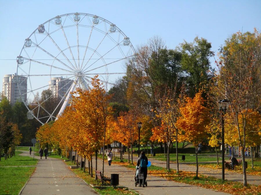 Иваново достопримечательности. Ивановские пруды осенью. Красноярск в октябре. Иваново центр города. Г иваново осенью.