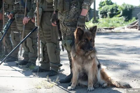 Вагнер служба по контракту