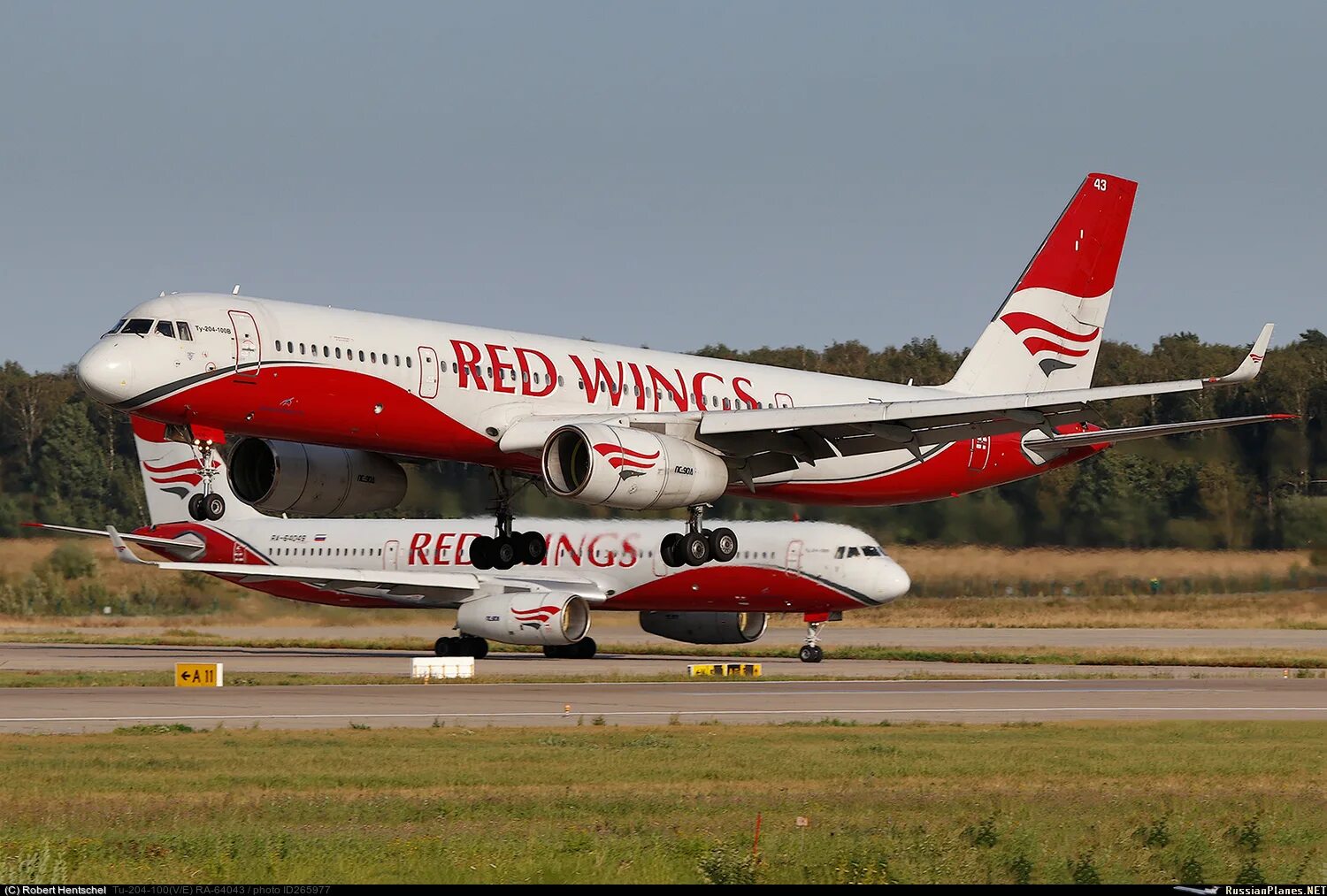 Red wings пхукет отзывы. Ту 204 100 red wings. ту-204 ред вингс. ту 214 ред вингс. авиакомпания ред вингс ту 204.