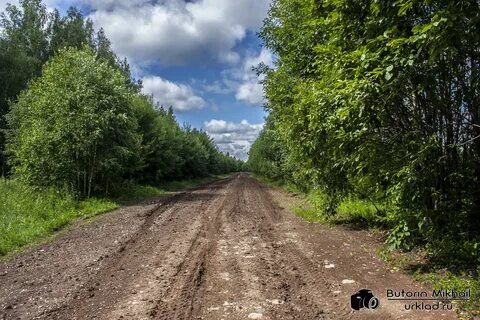 Погода байса
